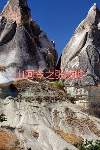 [山河令同人]山河令之张成岭